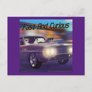 Fast Cats Unglaublich witzig Rick London Postkarte