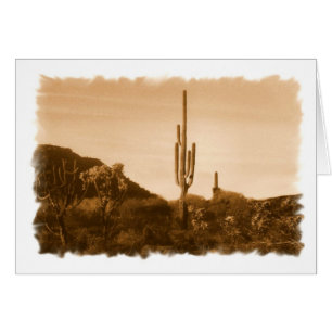 fast verschwunden (Wüste in Sepia) Karte