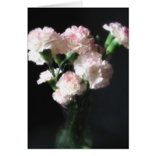 Fast weiße Gartennelken 2