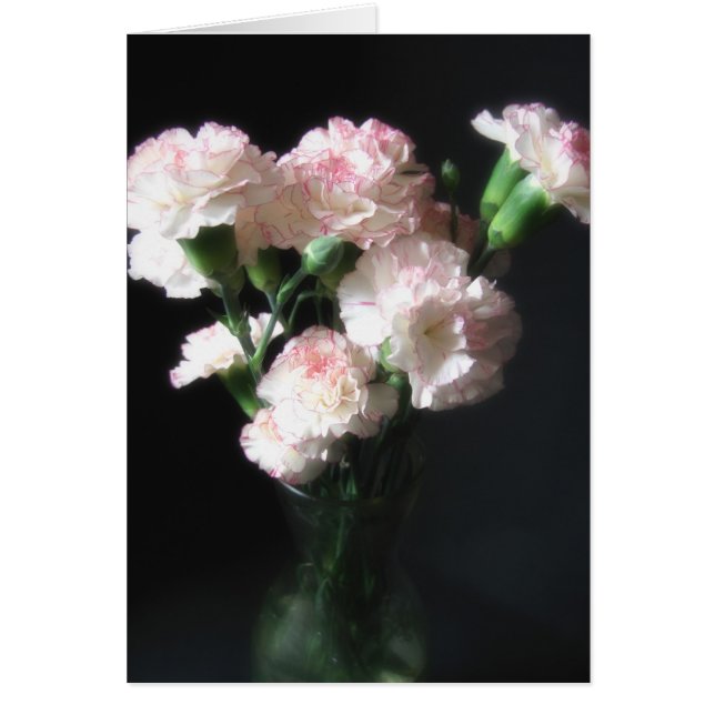 Fast weiße Nelken 2 (Vorne)