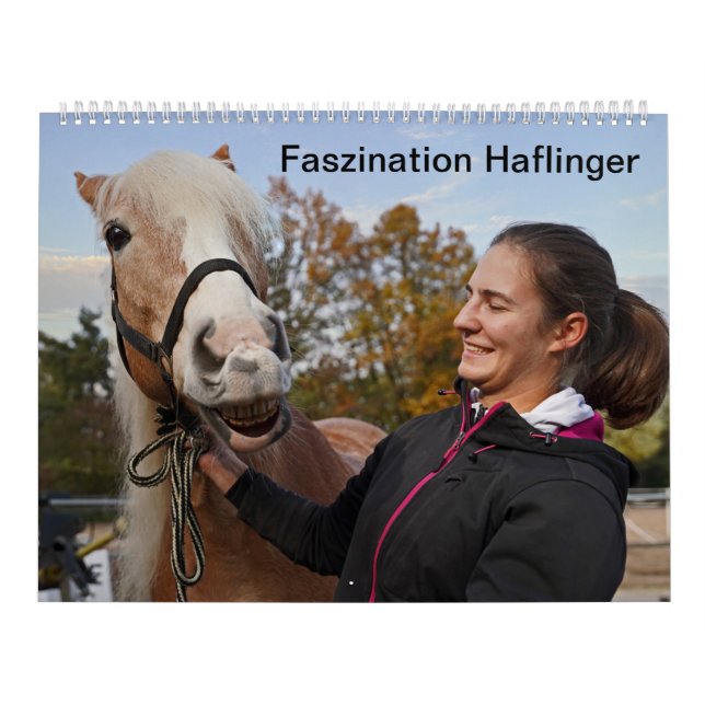 Faszination Haflinger Kalender (Titelbild)