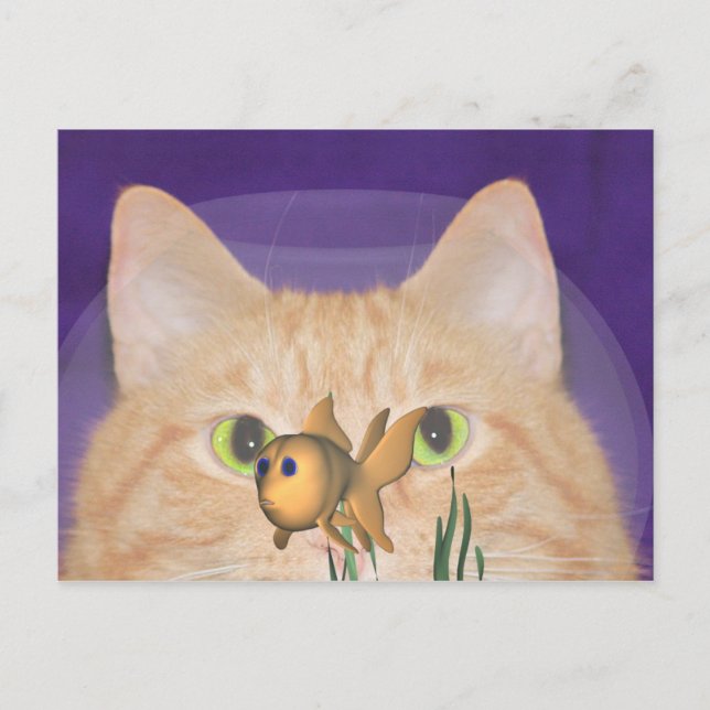 Faszination Postkarte (Vorderseite)