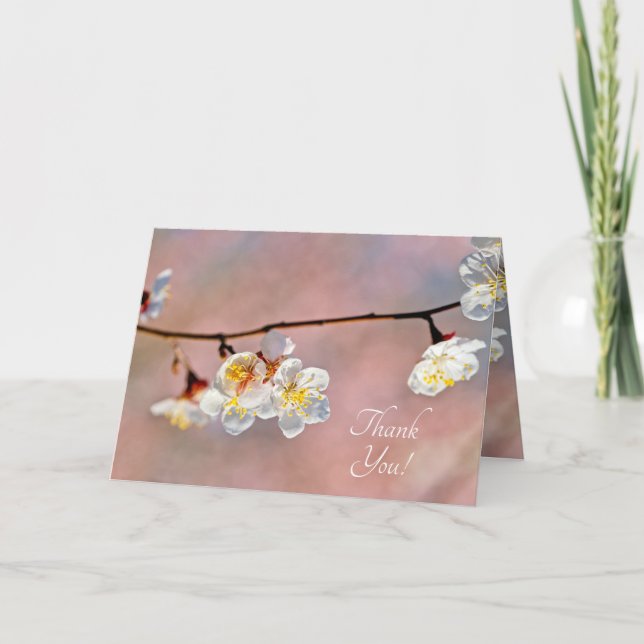 Faszinierende japanische Apricot-Blume Dankeskarte (Vorderseite)