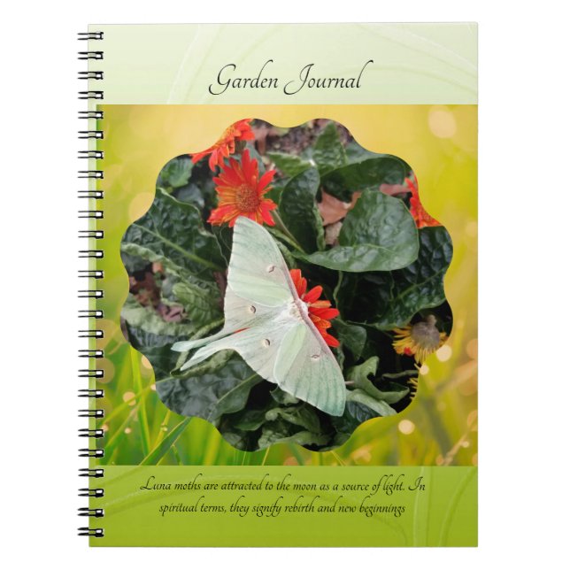Faszinierende Luna Moth Notizblock (Vorderseite)