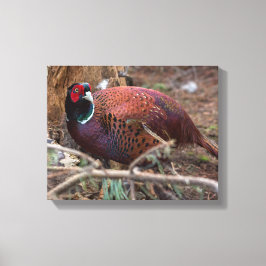 Faszinierende Naturfotografie Leinwanddruck
