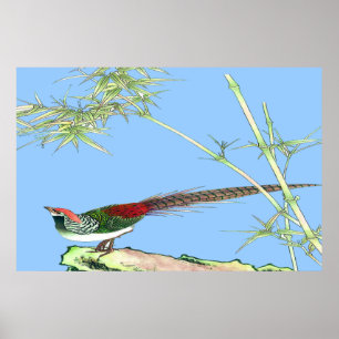 Faszinierendes Stehendes Poster Zeichne 7