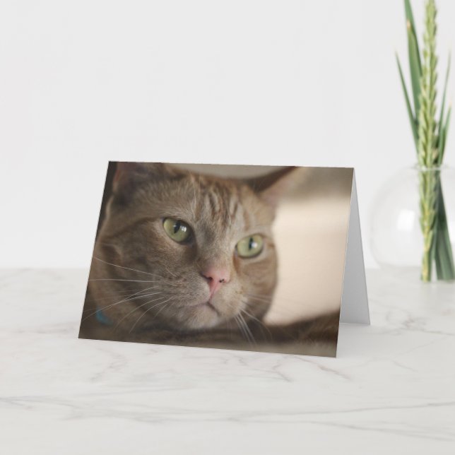 fasziniert karte (Vorderseite)