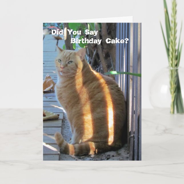 Fat Cat Birthday Card - Lasst uns Party! Karte (Vorderseite)