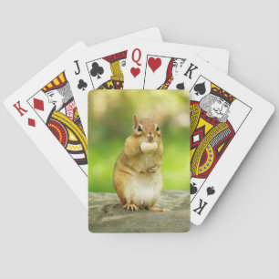 Fat Chipmunk with Treat Spielkarten