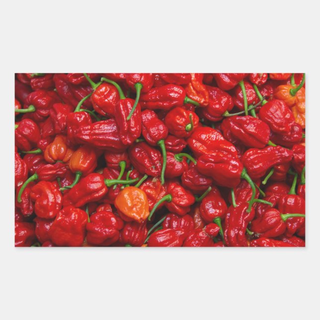 Fataliis Chile Paprikaschoten 2 Rechteckiger Aufkleber (Vorderseite)