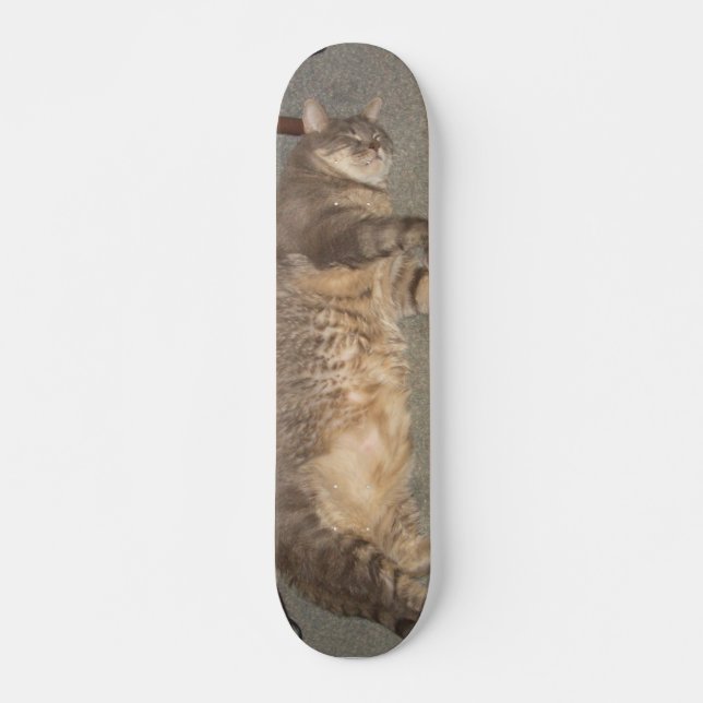 FatCat-Board Skateboard (Vorne)