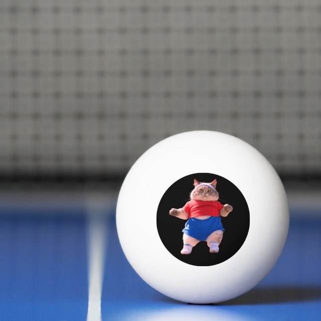 FATKITÄT TISCHTENNISBALL (Netto)