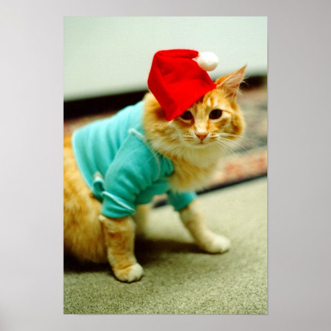 Fatso, Original Keyboard Cat 1984 Poster (Vorne)