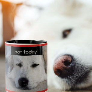 Faule große Pyrenäen-Hundenicht heute rote Zweifarbige Tasse