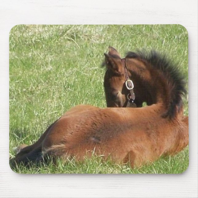 Faule Tage Mousepad (Vorne)