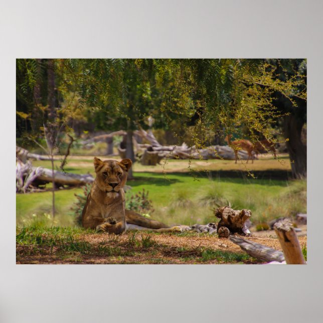 Faulenztag Poster (Vorne)