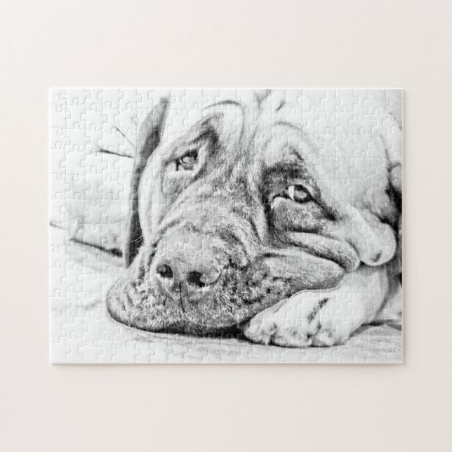 Fauler Mastiff (Horizontal)