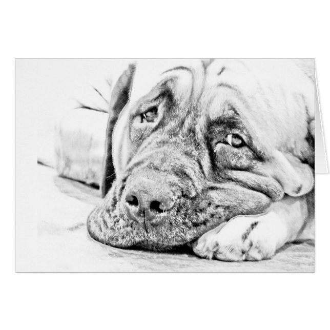 Fauler Mastiff (Vorderseite (Horizontal))