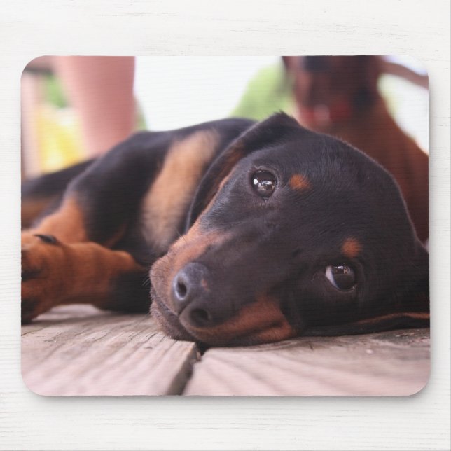 Fauler Sommer-Tag Mousepad (Vorne)