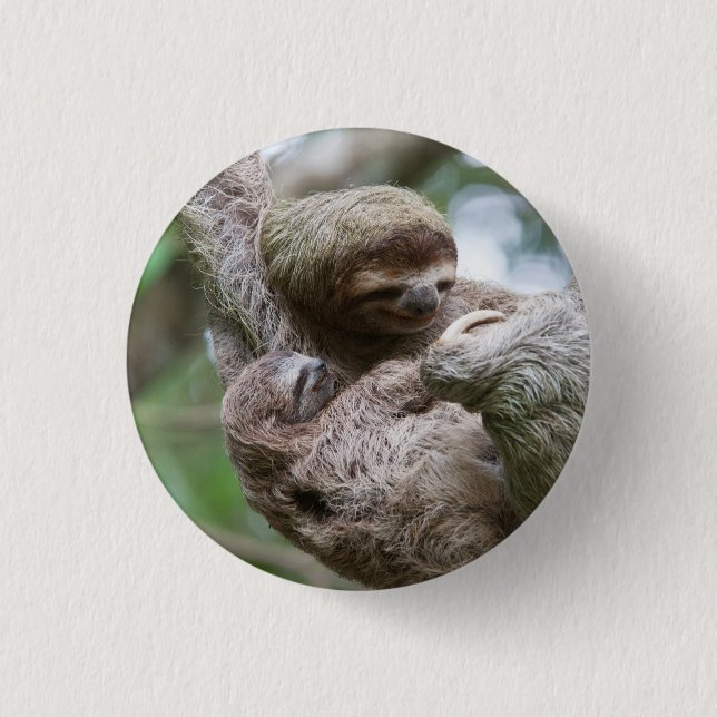 Faultier-Baby mit Mutter an einem Baum hängend Button (Vorderseite)