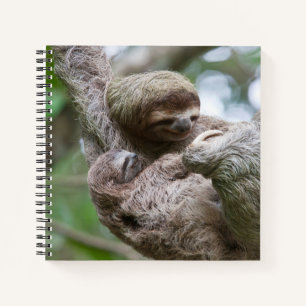 Faultier-Baby mit Mutter an einem Baum hängend Notizbuch