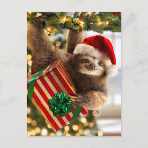 Faultier bringt Geschenke Einladungspostkarte