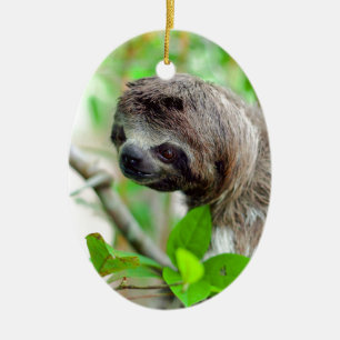 Faultier in Baum Nicaragua Keramik Ornament