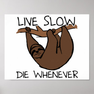 Faultier Lebe Langsam Lustiger Poster