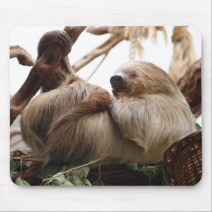 Faultier niedlich. mousepad