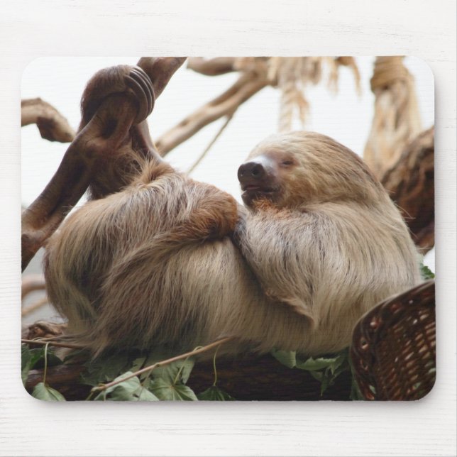 Faultier niedlich. mousepad (Vorne)
