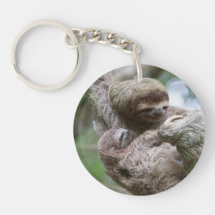 Faultierbaby mit Mutter an einem Baum hängend Schlüsselanhänger
