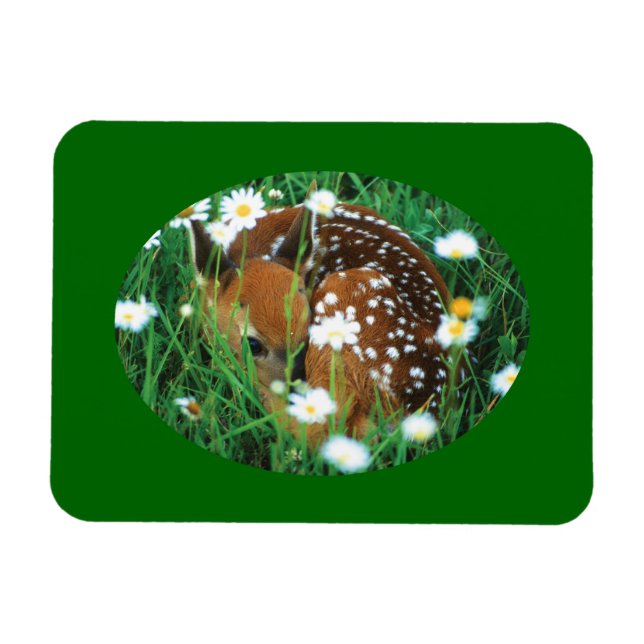 Fauna und Wildblumen Magnet (Horizontal)