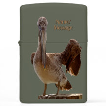 Faune côtière personnalisée Pélican Photo