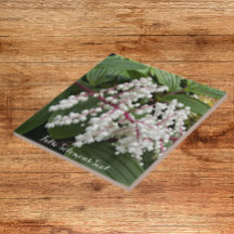 Faux Fleurs de phoques de Salomon Carreaux de céra