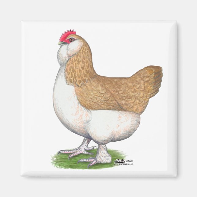 Faverolle Hen Magnet (Vorne)