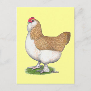 Faverolle Hen Postkarte