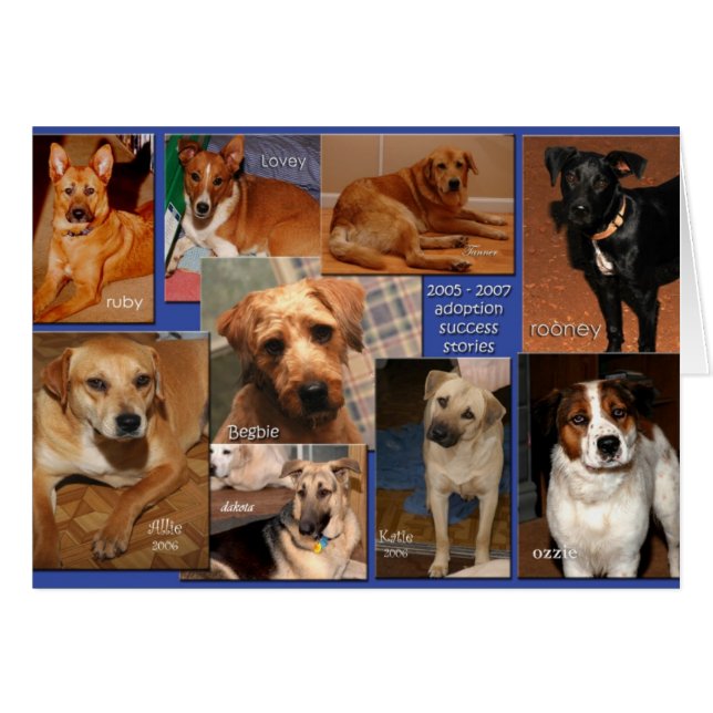 favoriser les réussites2007 (Devant horizontal)