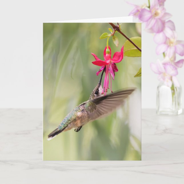 Favorite Fuchsia Hummingbird Karte (Orchidee)