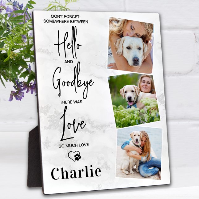 Favorite Hello Personalize Foto Dog Memorial Fotoplatte (Von Creator hochgeladen)