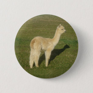 Fawn Alpaca Button