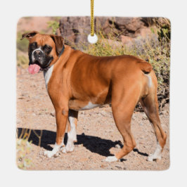 Fawn and White Boxer Puppy Dog Keramikornament