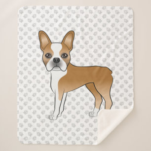 Fawn Boston Terrier Adorable Cartoon Dog & Paws Sherpadecke