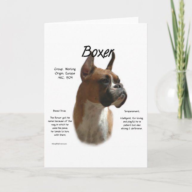 Fawn Boxer History Feiertagskarte (Vorderseite)