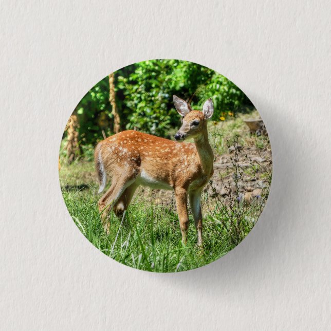 Fawn Button (Vorderseite)
