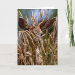Fawn Columbian Black-Tails Hirsch Dankeschön Karte