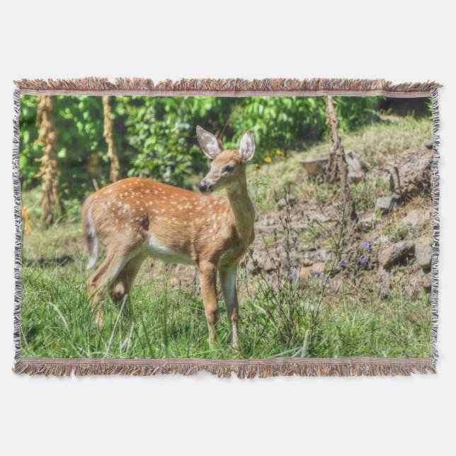 Fawn Decke (Vorderseite)