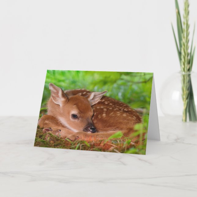 Fawn Greeting Card Karte (Vorderseite)