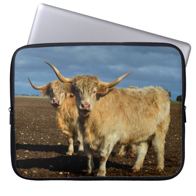Fawn Highland Cowls, Laptopschutzhülle (Vorderseite)