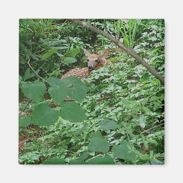 FAWN in Blätter des grünen Herzens — Magnet