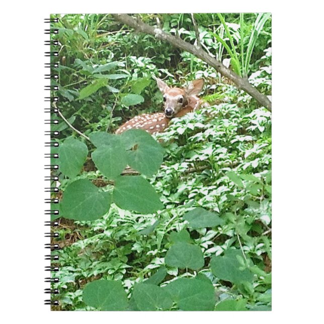 FAWN in Blätter des grünen Herzens — Notizblock (Vorderseite)